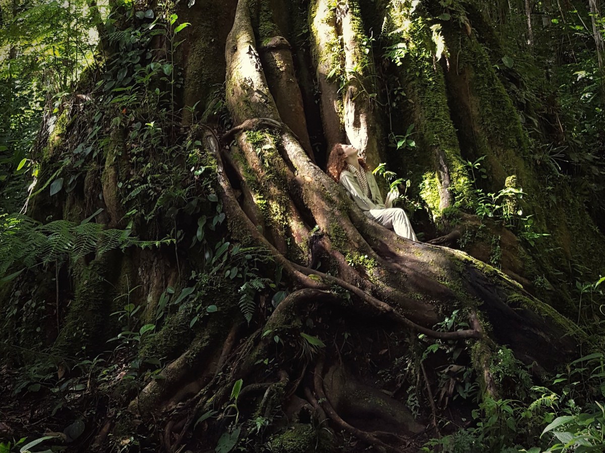 Panama road trip – 2 weeks Pacific coast and&nbsp;highlands