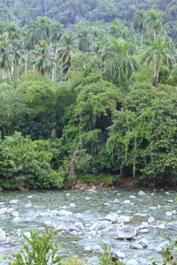 Toa river Baracoa