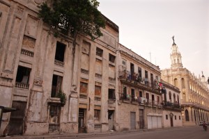 Tree growing inside a crumbling building in Havana