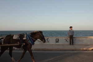 Horse on the Gibara Malecon