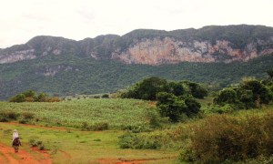 Horse riding in Vinales Valley
