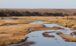Kruger landscape with river