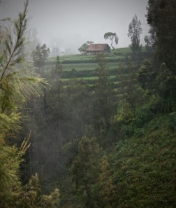 Misty mountain scene near Comoro Lawang East Java