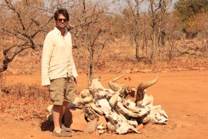 Pile of old bones near Machampane Wilderness Camp
