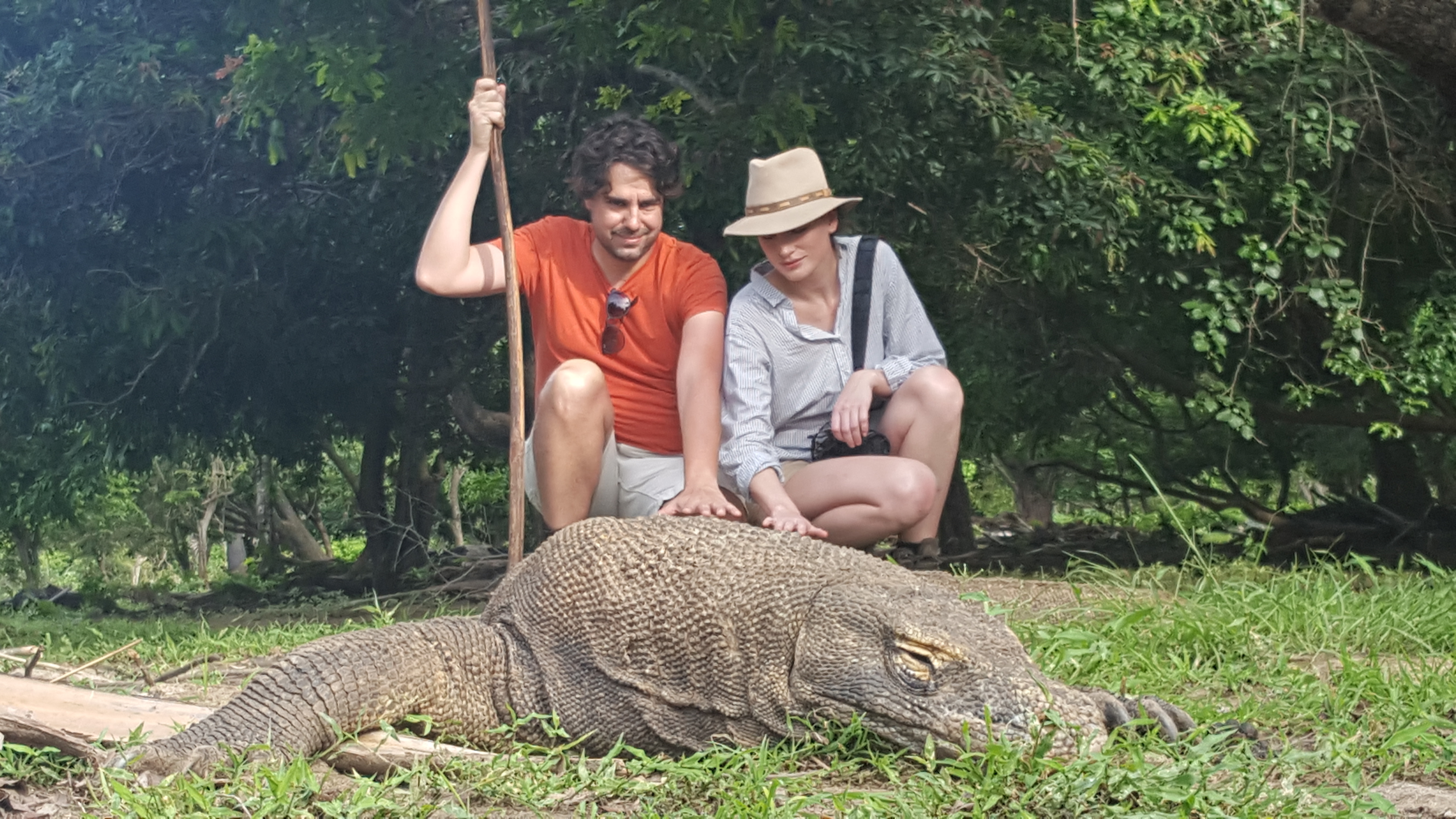 Petting a Komodo dragon on Rinca island