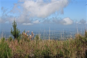 View from the Sierra de Cristal mountains