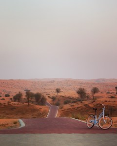 Bicycle path in the Al Wadi desert