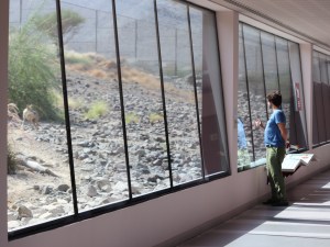 Al Hefaiyah Mountain Conservation Centre observation corridor