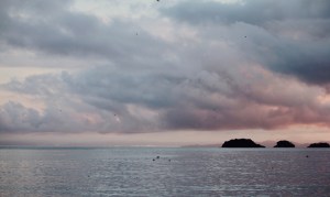 Sunset in Coiba during the migration of Urania swallowtail moths
