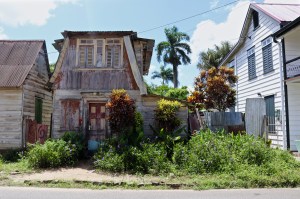 Green street in Paramaribo