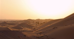 Panoramic view over the sand dunes at Telal, Abu Dhabi