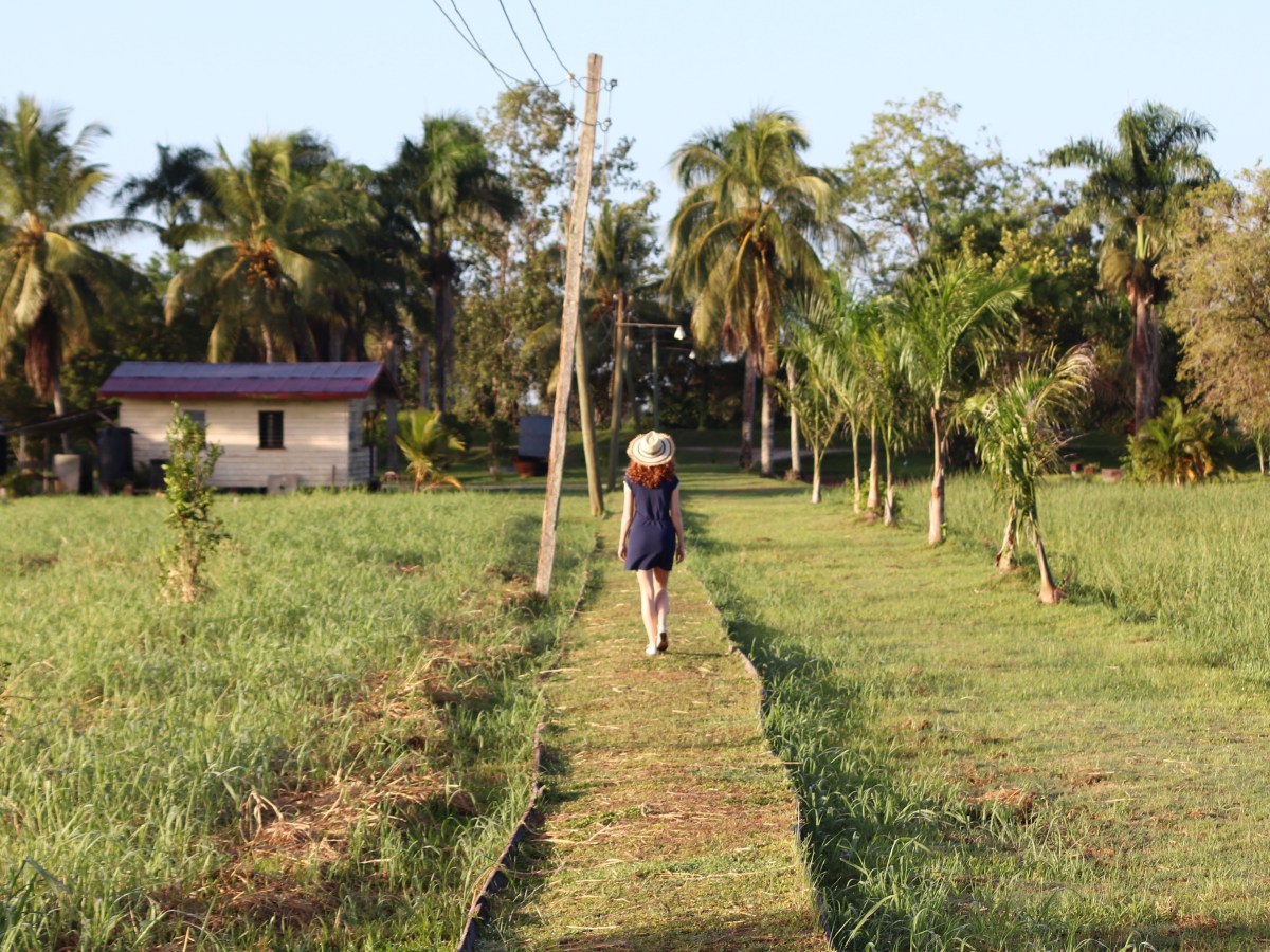 Paramaribo and Commewijne plantations – 5 days in&nbsp;Suriname