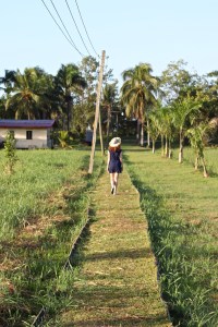 Frederiksdorp plantation grounds