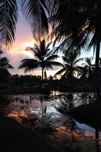 Sunset at Frederiksdorp