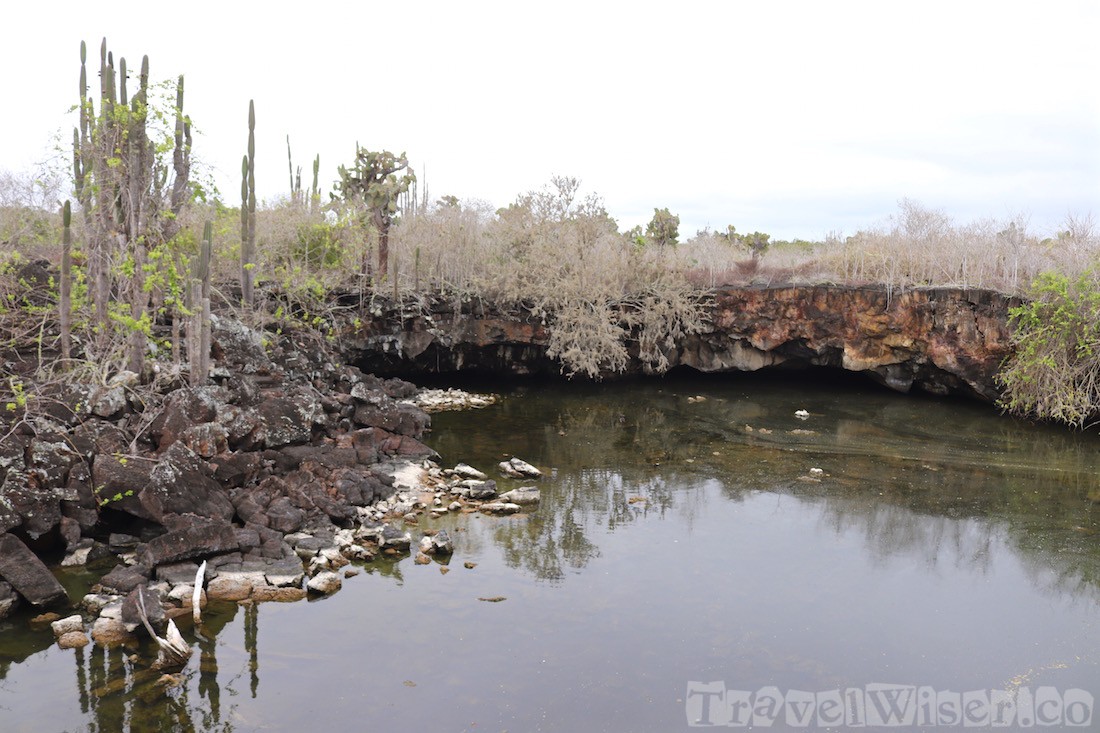 Pozo Redonda, along the Muro de las Lagrimas trail Isla Isabela