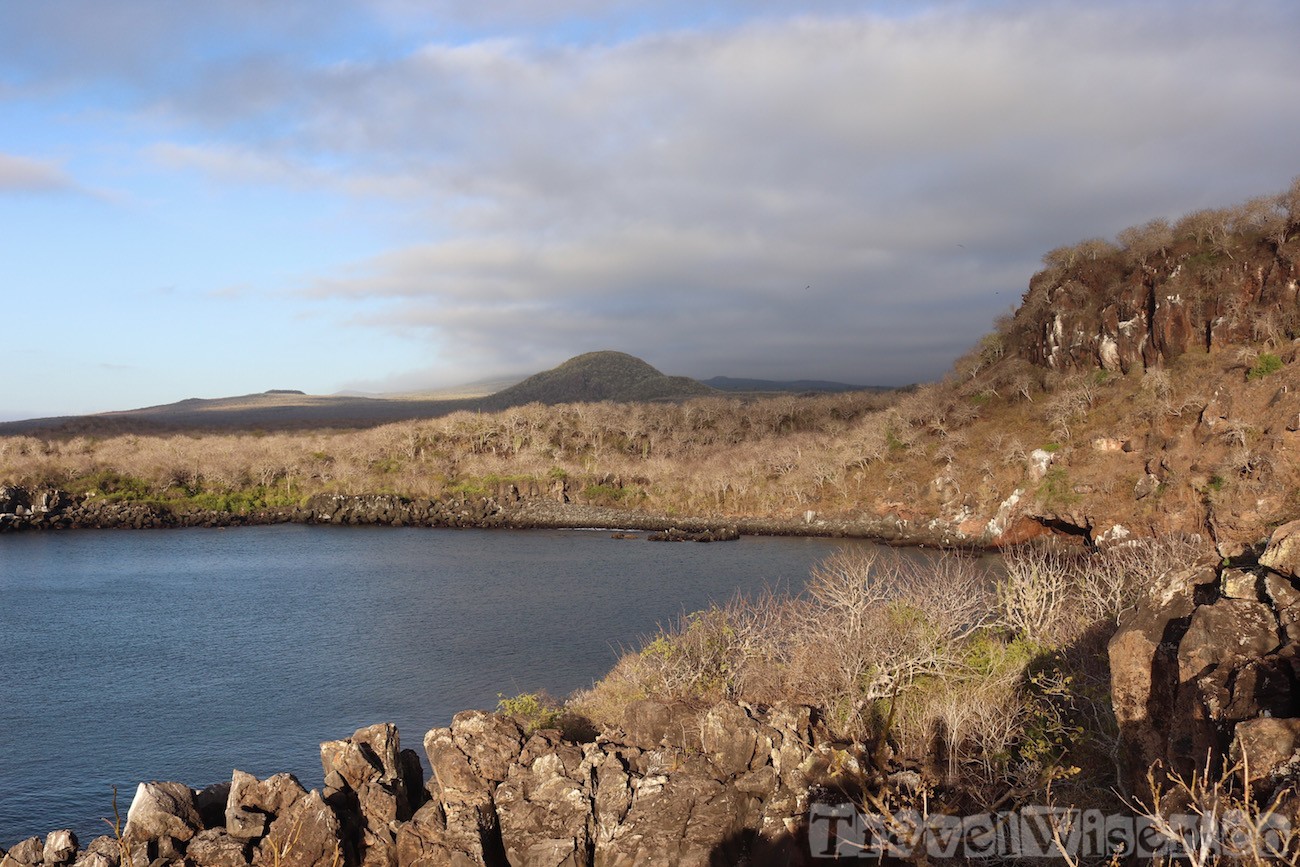 Cerro Tijeretas Isla San Cristobal