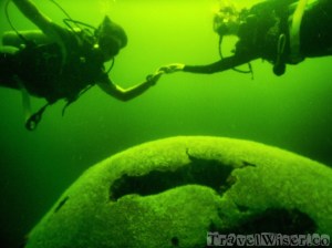 Giant brain coral Speyside diving Tobago