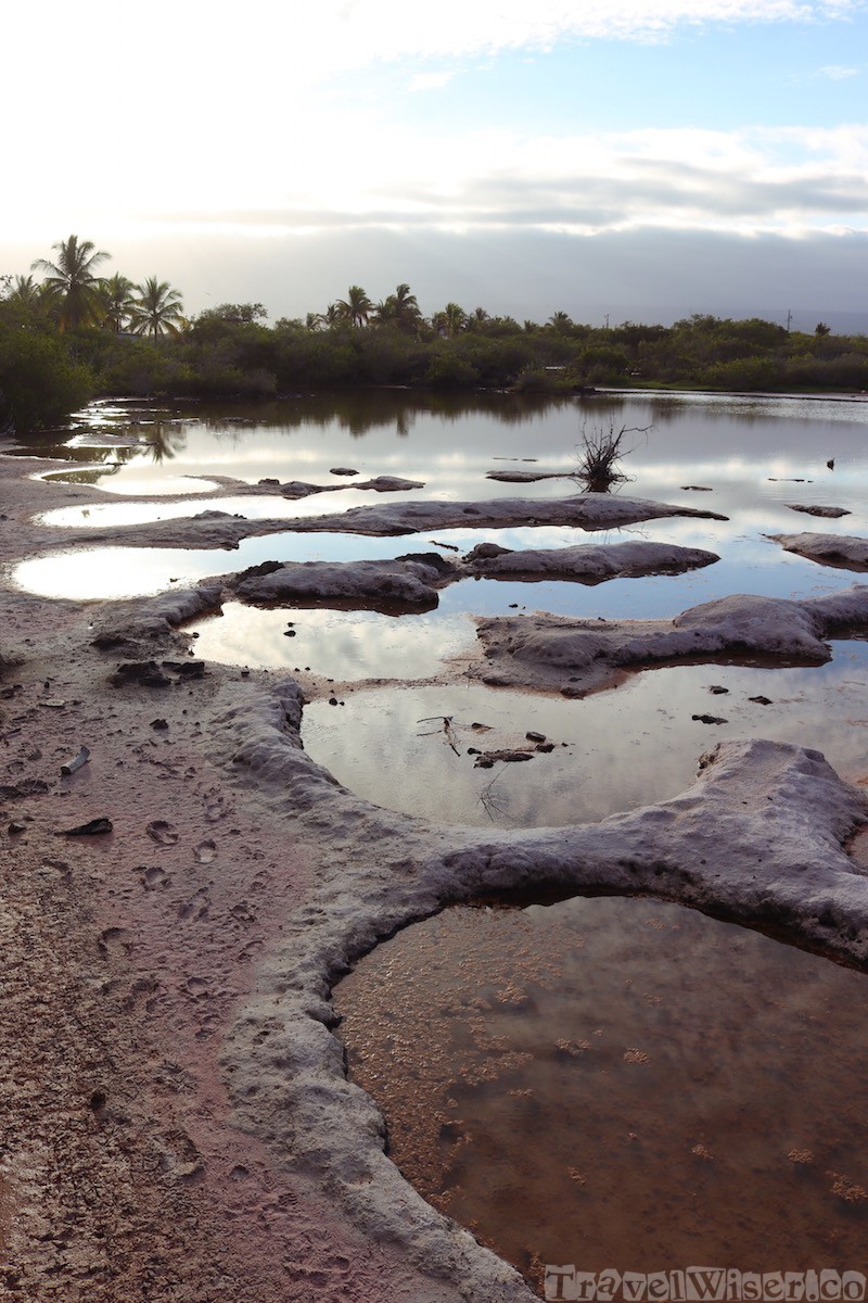 Pozo Salinas, Isla Isabela Galapagos