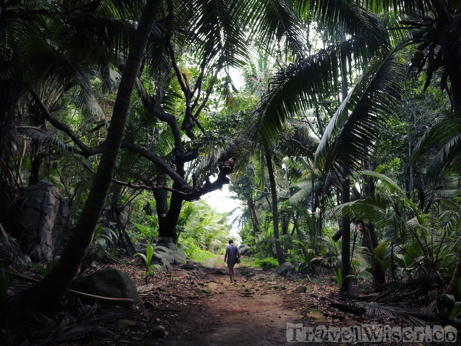 Silhouette Island interior