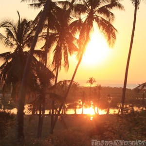 Mozambican sunset through the palm trees