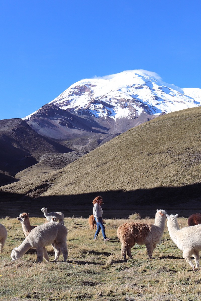 Ecuador trip from Andes to Amazon