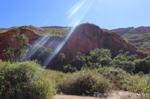 Oasis hiding Maryam Papaseit church