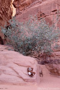 Bedouin man taking a break in Wadi Rum