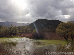 Skadar Lake National Park Montenegro
