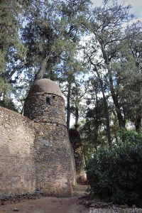Stone wall of Debre Birhan Selassie in Gondar