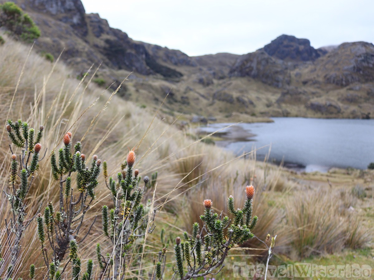 Parque Nacional Cajas, Ecuador
