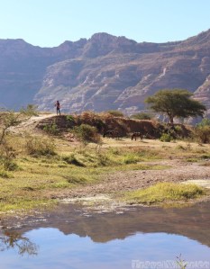 Boy and donkeys standing on a riverbank, Tigray Ethiopia
