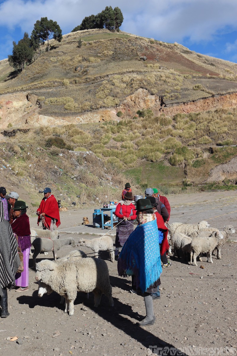 Zumbahua Saturday market livestock