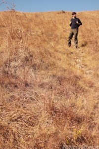 Malolotja vegetation Swaziland