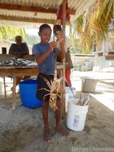 Boy with lobster in the fishing village of Charlotteville Tobago