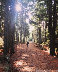 Hiking on the Acadia Carriage Roads, Maine