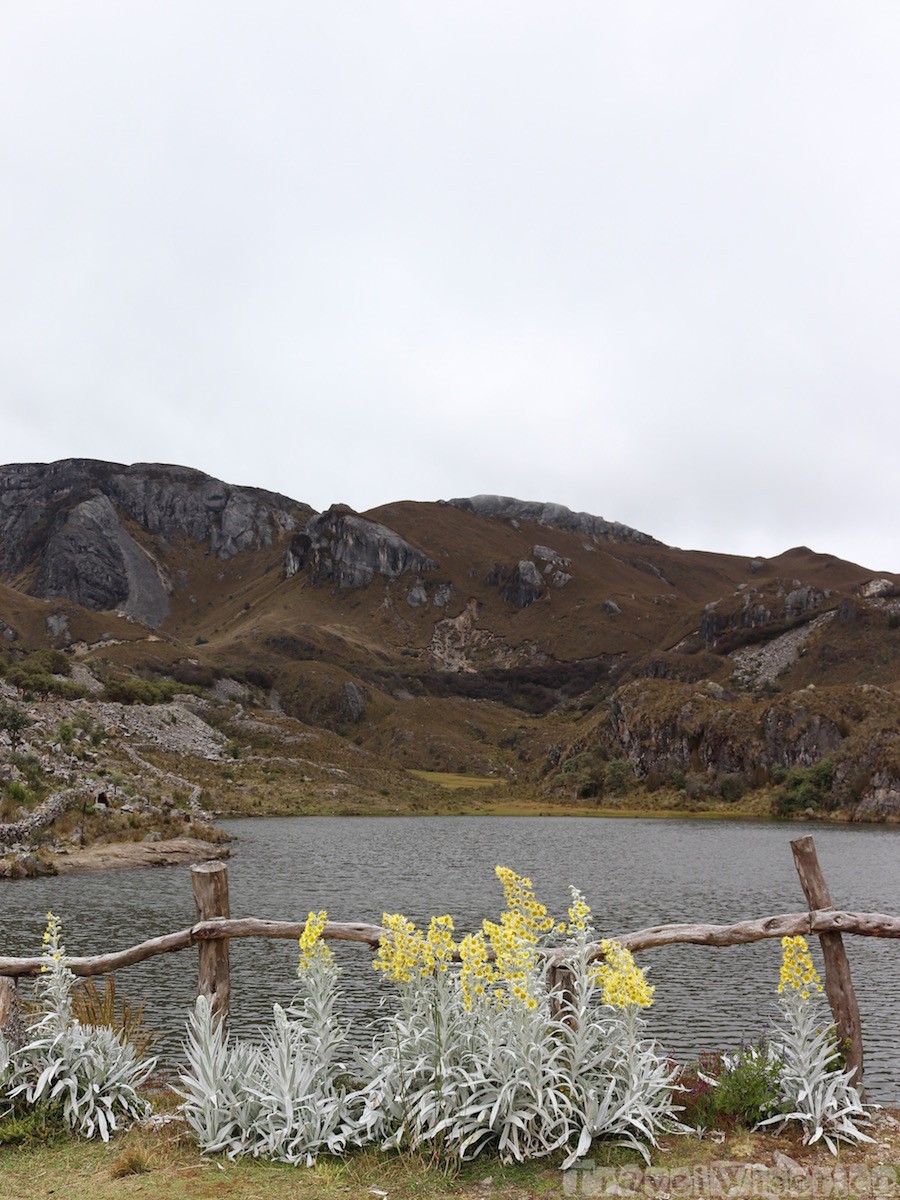 Cajas National Park Ecuador