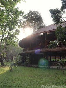 Our Jungle Camp eco resort restaurant, Khao Sok
