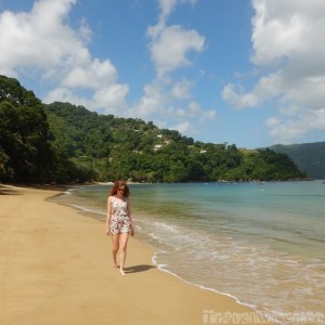 On Charlottesville beach, Tobago