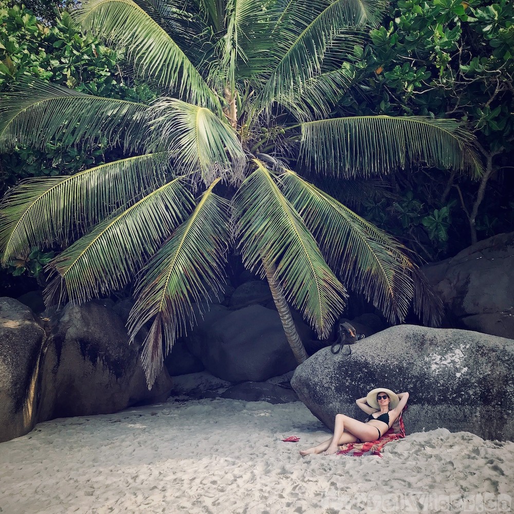 Under the palm trees at Anse Georgette Beach, Praslin Seychelles
