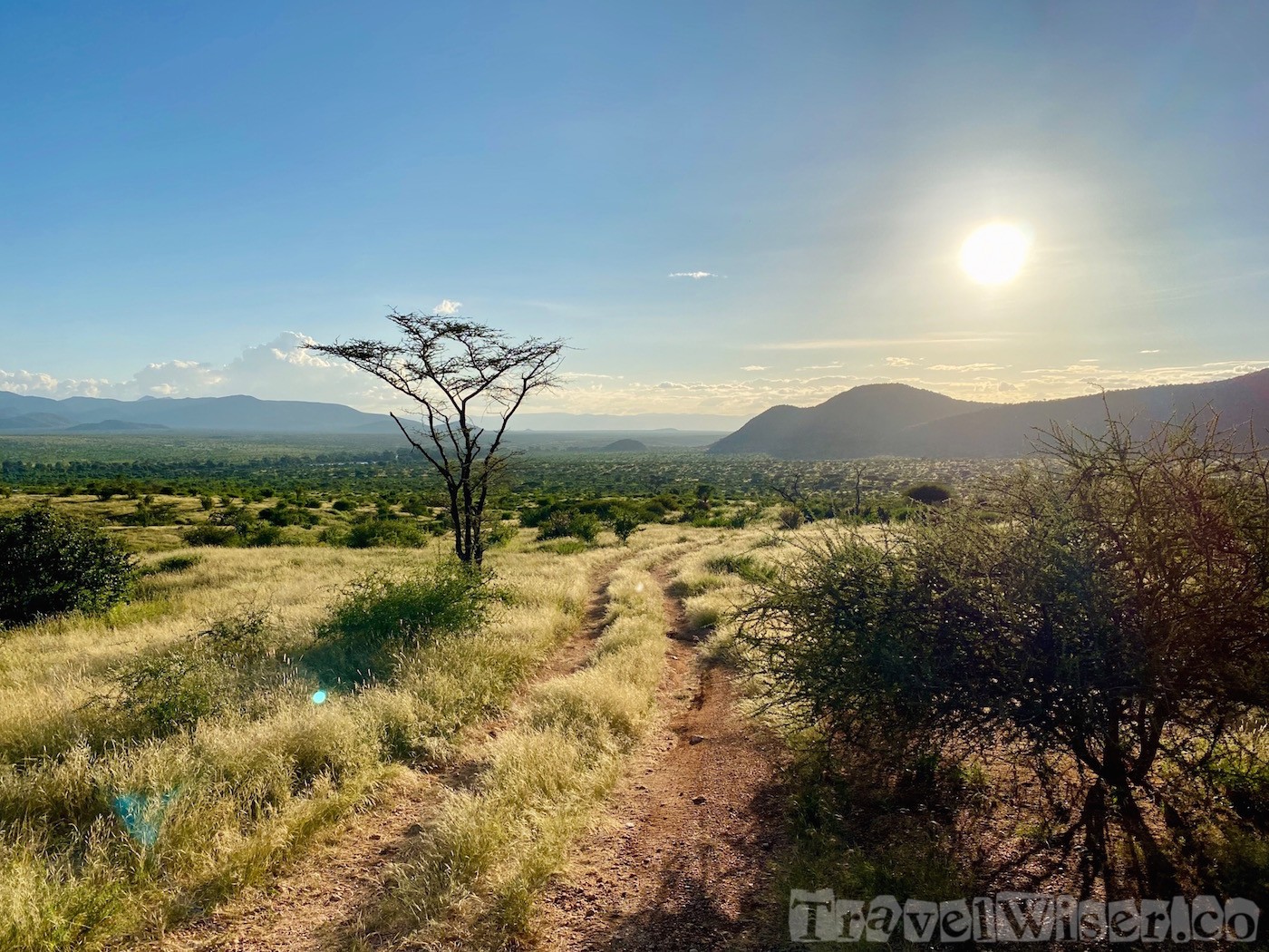 Samburu National Reserve, Northern Kenya