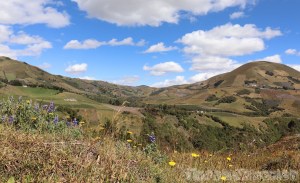 Ecuador, central highlands