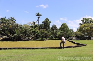 Manatee pond, botanical gardens Georgetown Guyana
