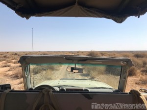 Sahuaro Wildlife Reserve safari
