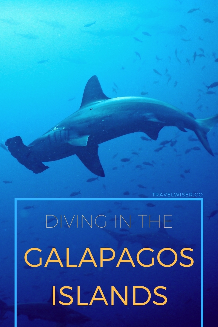 Diving in the Galapagos Islands