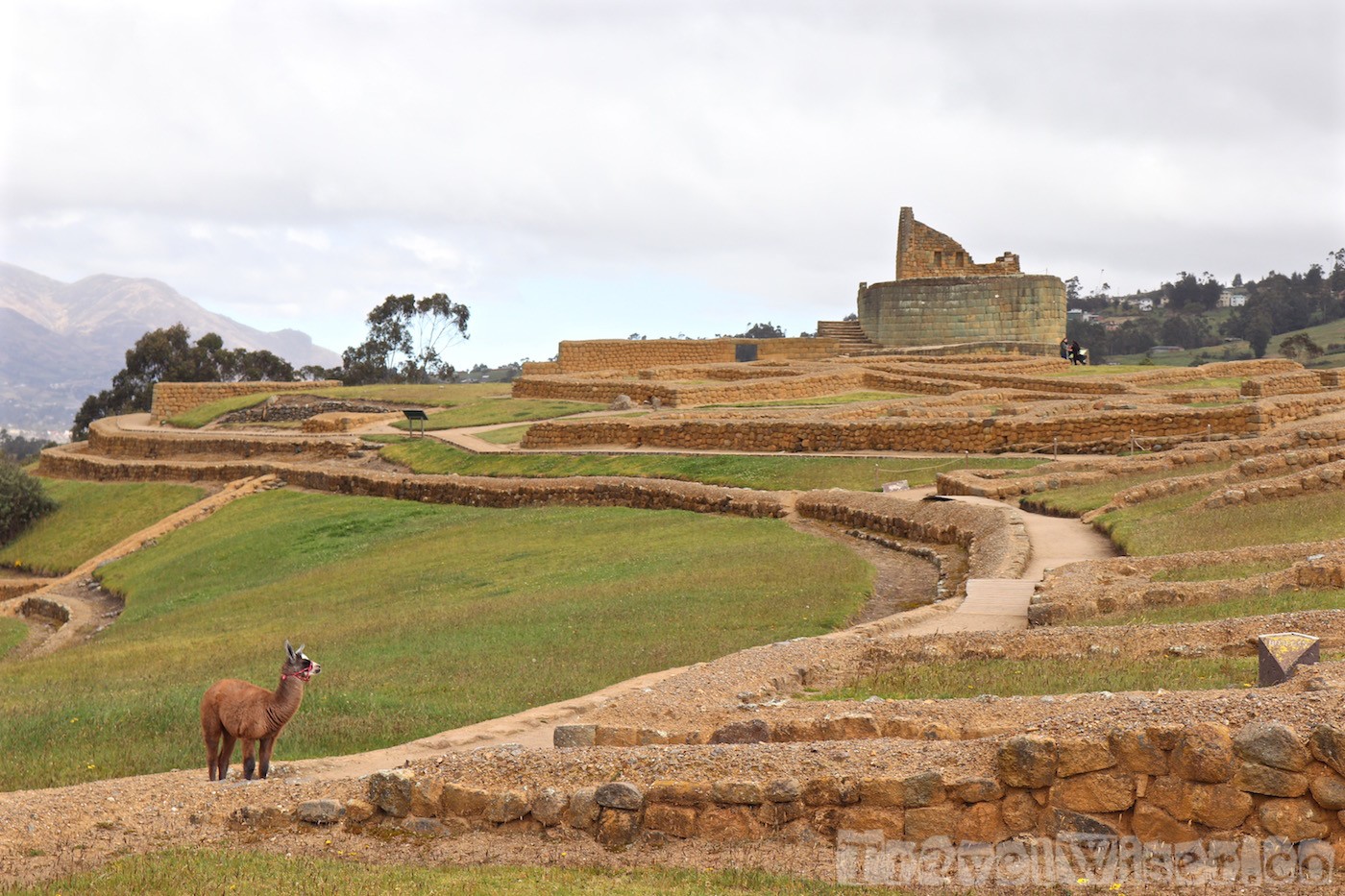 Ruins of Ingapirca, Ecuador