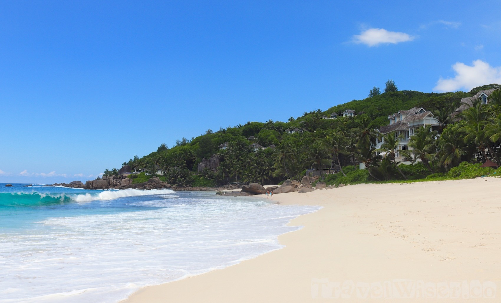 Banyan Tree on Anse Intendance, Mahe Seychelles