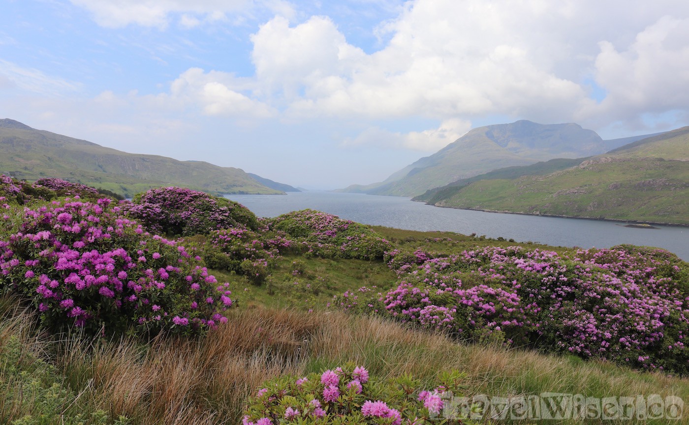 Hillary Harbour view