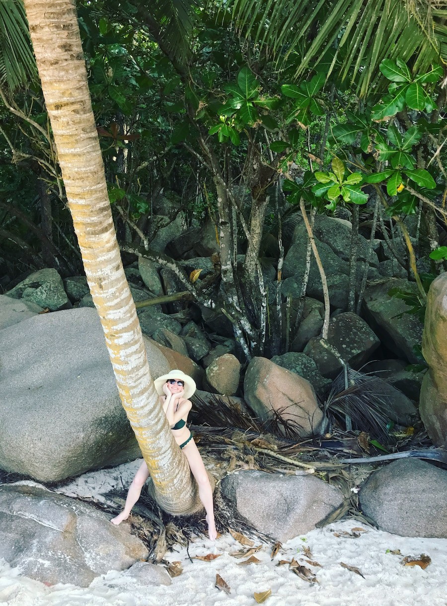 Sitting on a palm tree in the Seychelles
