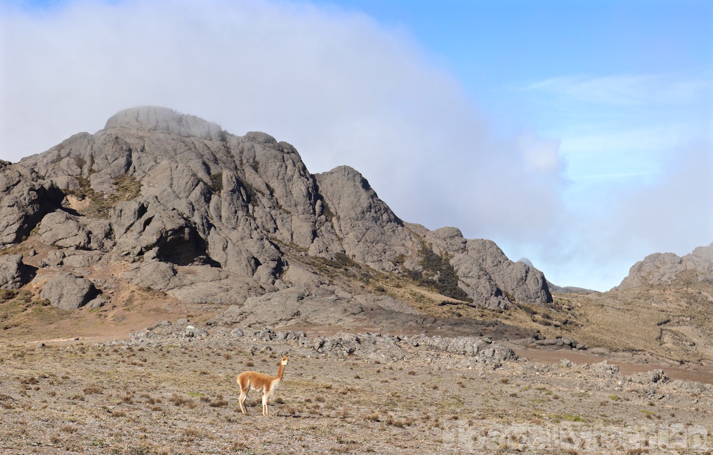 Reserva de Produccion Faunistica Chimborazo