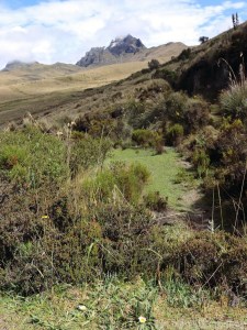 Quito Loma Cruz nature trail